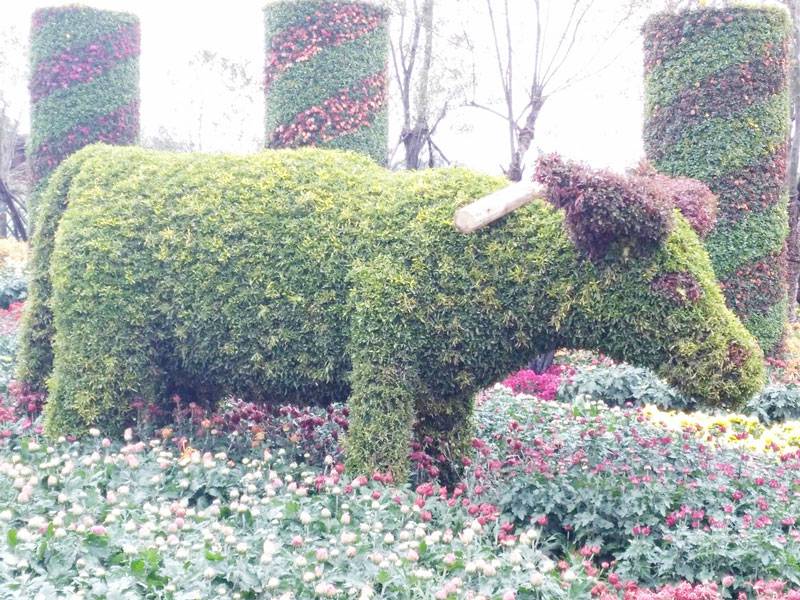 五色草造型--牛