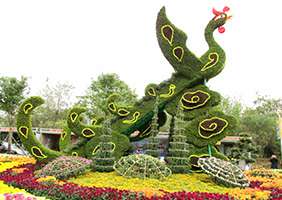 五色草立体花坛