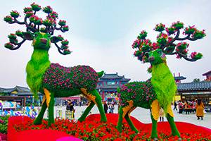 五色草立体花坛