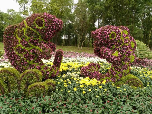 五色草造型--鲤鱼跃龙门