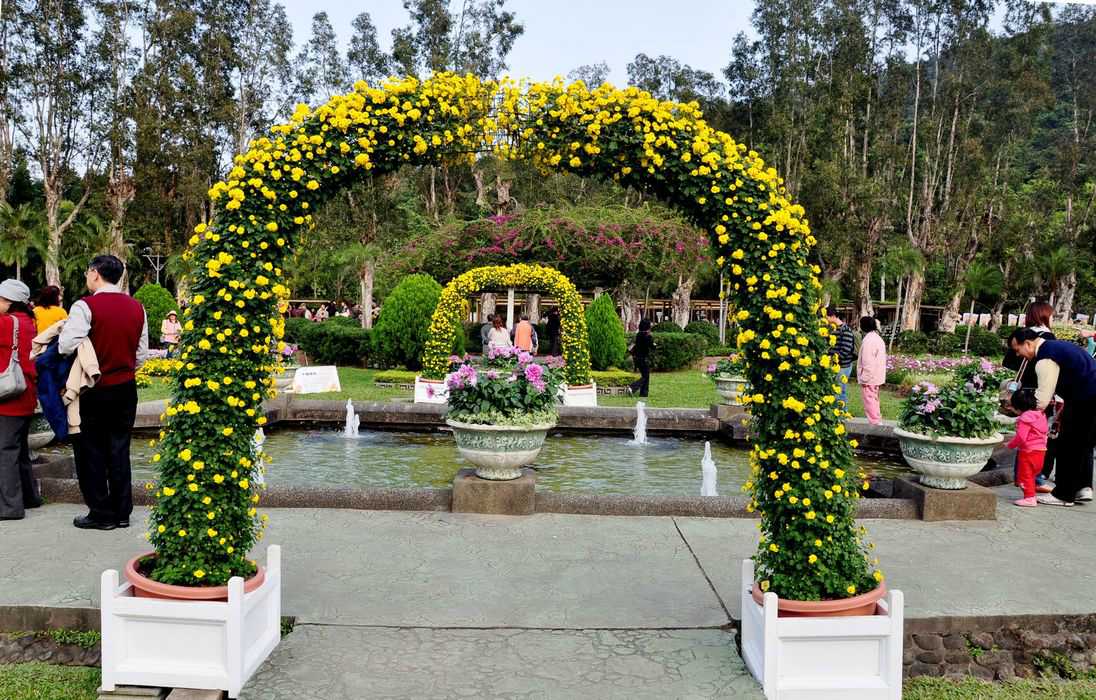 菊花造型--幸福门