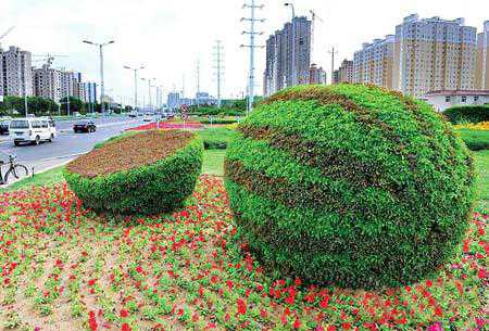 五色草 五色草造型 新闻资讯 五色草造型 植物造型 立体花坛 开封绿巨人园艺有限公司