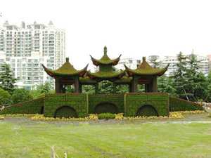 五色草造型-特点和费用